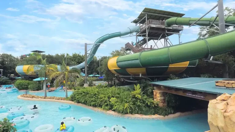 Ultimate Guide to Aquatica at SeaWorld Orlando: A Comprehensive Overview