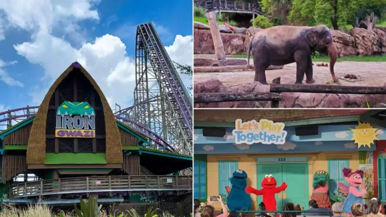 Complete Guide to Busch Gardens Tampa Bay: Tips, Attractions, and More