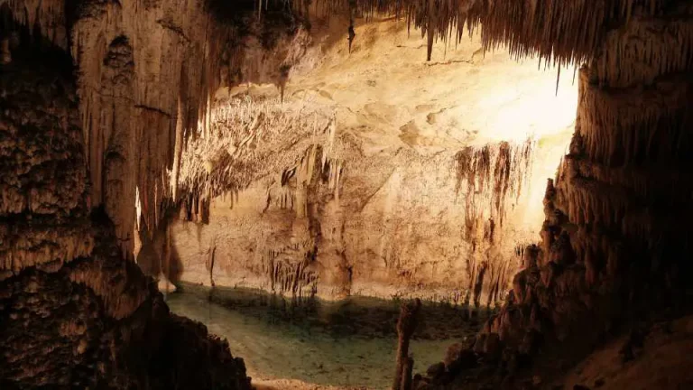 Florida Caves: Hidden Natural Wonders to Explore