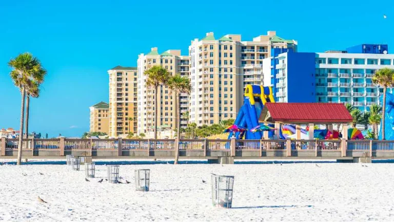 Best Hotels for a Staycation in the Tampa Bay Area: Top Picks for Relaxation and Comfort