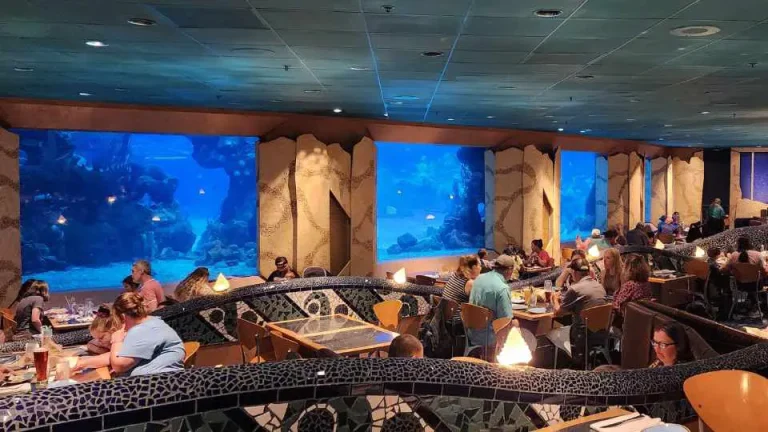 The Coral Reef Restaurant at Epcot: A Must-Visit Destination for Seafood Lovers