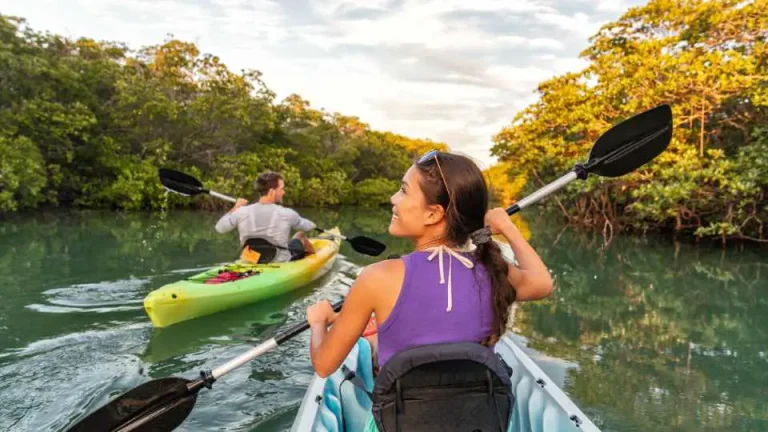 Nature Lover’s Paradise: Your Comprehensive Florida State Parks List