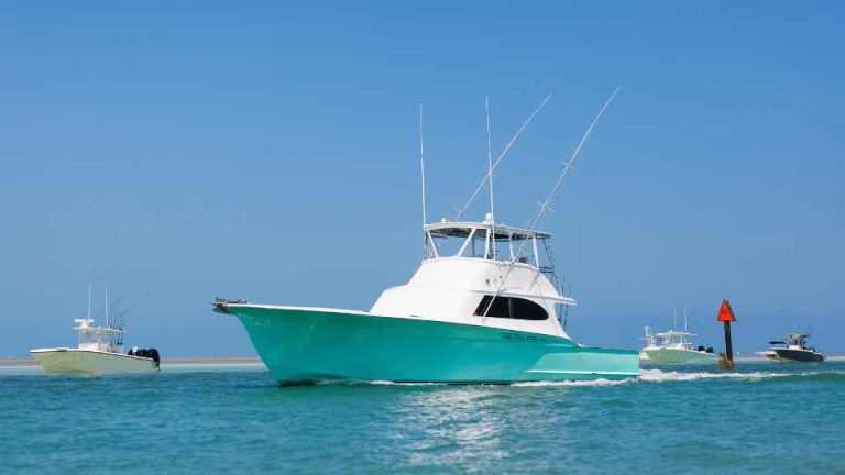 The Sun-Soaked Oasis: Exploring the Sandbars of the Florida Keys