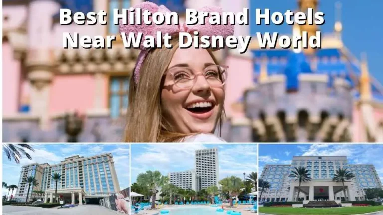 Best Hilton Brand Hotels Near The Walt Disney World Resort