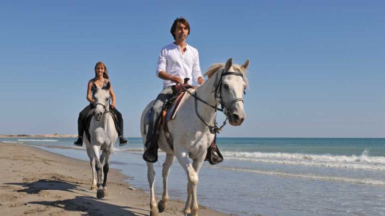 Horseback Riding on the Beach in Florida: An Unforgettable Experience