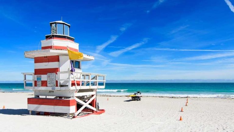 Best Miami Area Vacation Spots for Kids: Family-Friendly Destinations