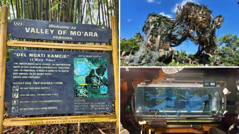 Exploring “Pandora – The World of Avatar” at Disney’s Animal Kingdom