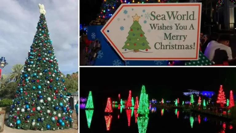 Christmas at SeaWorld Orlando (Complete Guide)