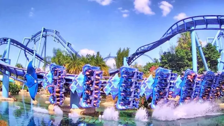 The Roller Coasters at SeaWorld Orlando