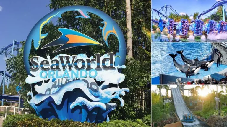 SeaWorld Orlando Tips and Tricks: Maximize Your Visit and Enjoy the Attractions