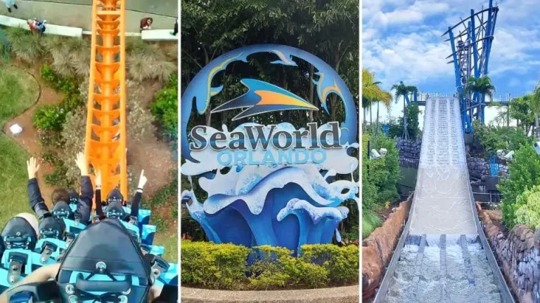 Top 10 Rides & Attractions at SeaWorld Orlando