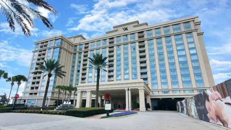 Florida’s Finest: Top 10 Hilton Brands for Your Sunshine State Getaway