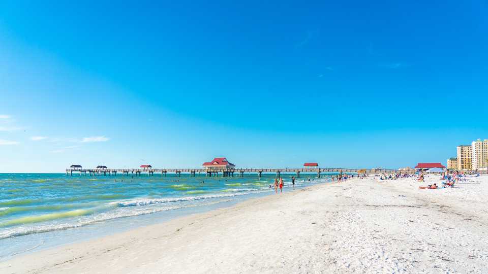 places to visit around clearwater florida
