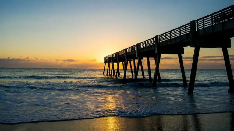 Visitors Guide to Vero Beach Florida: Top Attractions and Activities