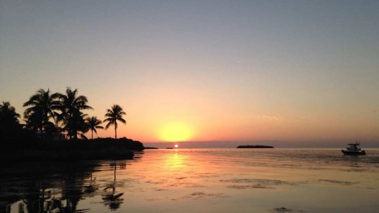 Financial Reasons to Move to Florida: Key Benefits and Insights