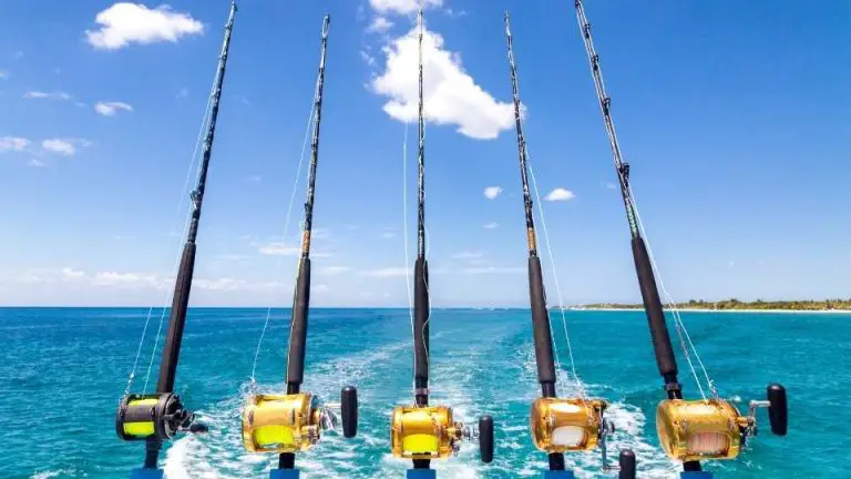 Your Guide to Deep Sea Fishing in Florida: Exploring the Gulf’s Rich Waters