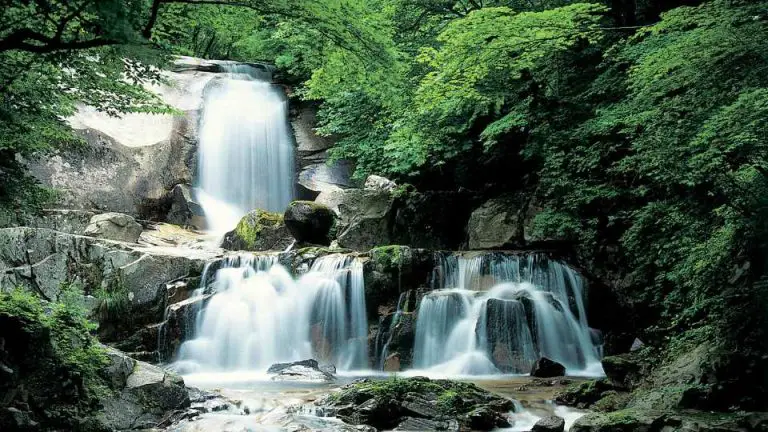 Top 5 Natural Waterfalls in Florida: Hidden Gems Worth Exploring